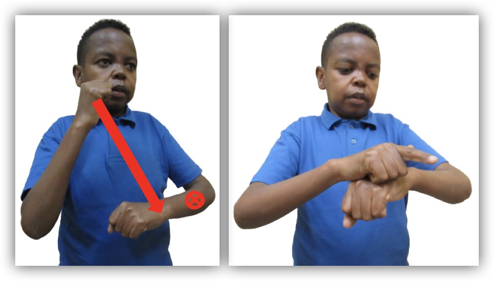 Sierra Leone Sign Language