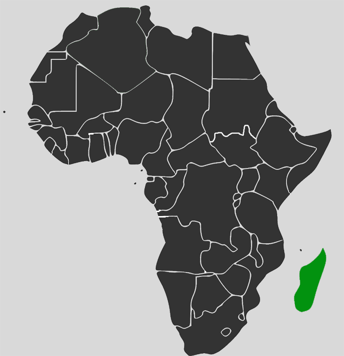 Africa-Map-Madagascar