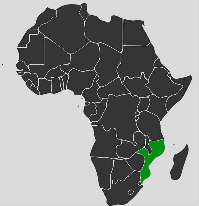 Africa-Map-Mozambique
